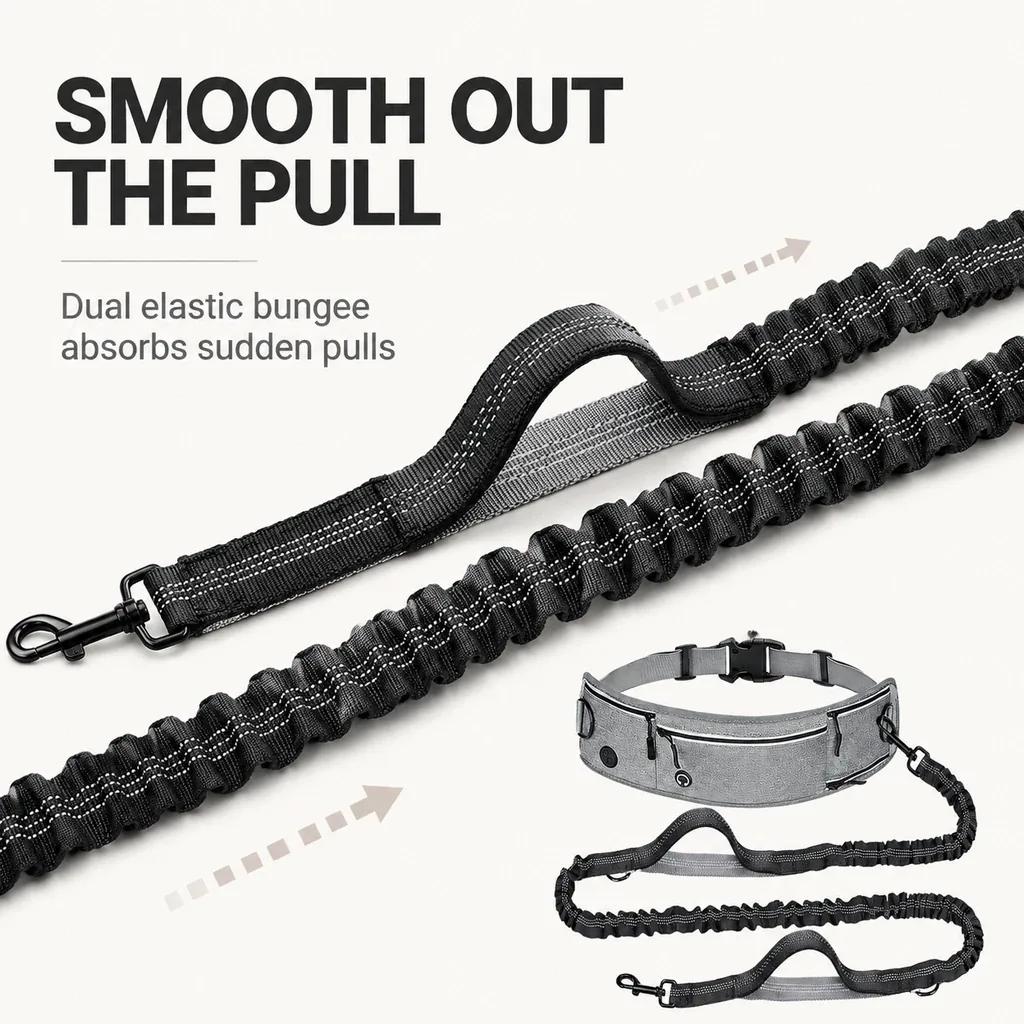 Close-up of the dual elastic bungee leash attached to a dog running belt