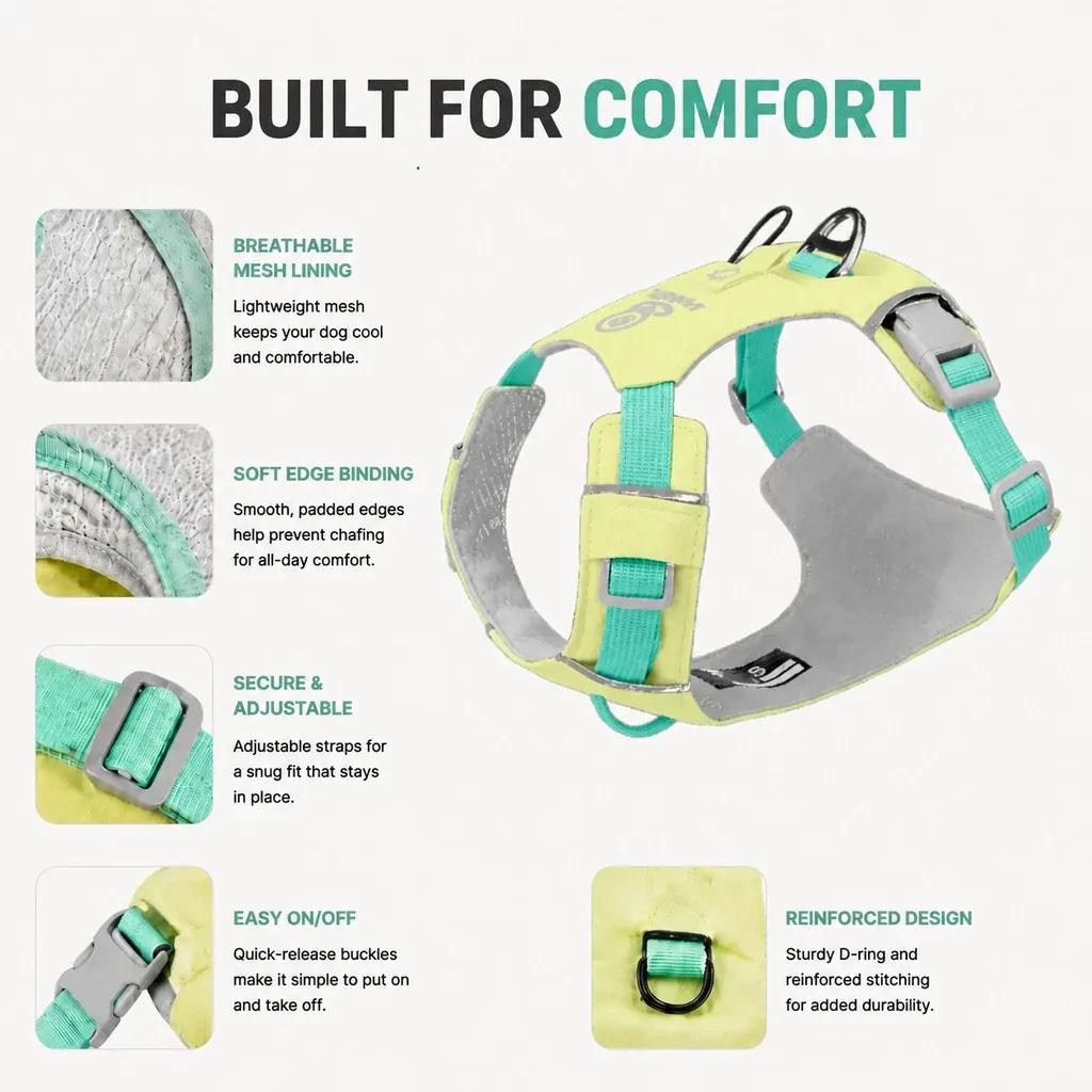 Dog harness feature guide showing breathable mesh padded edges buckles D-ring and adjustable straps