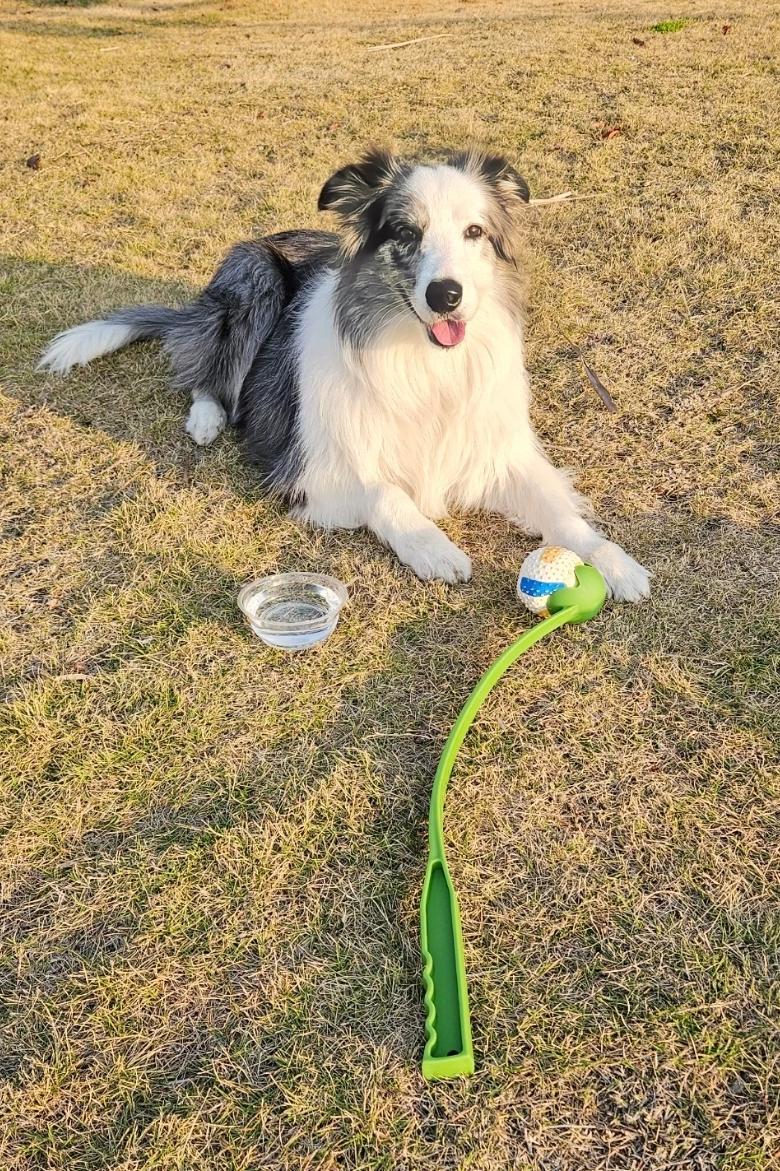 Customer photo 2 featuring Hands-Free Dog Fetch Launcher