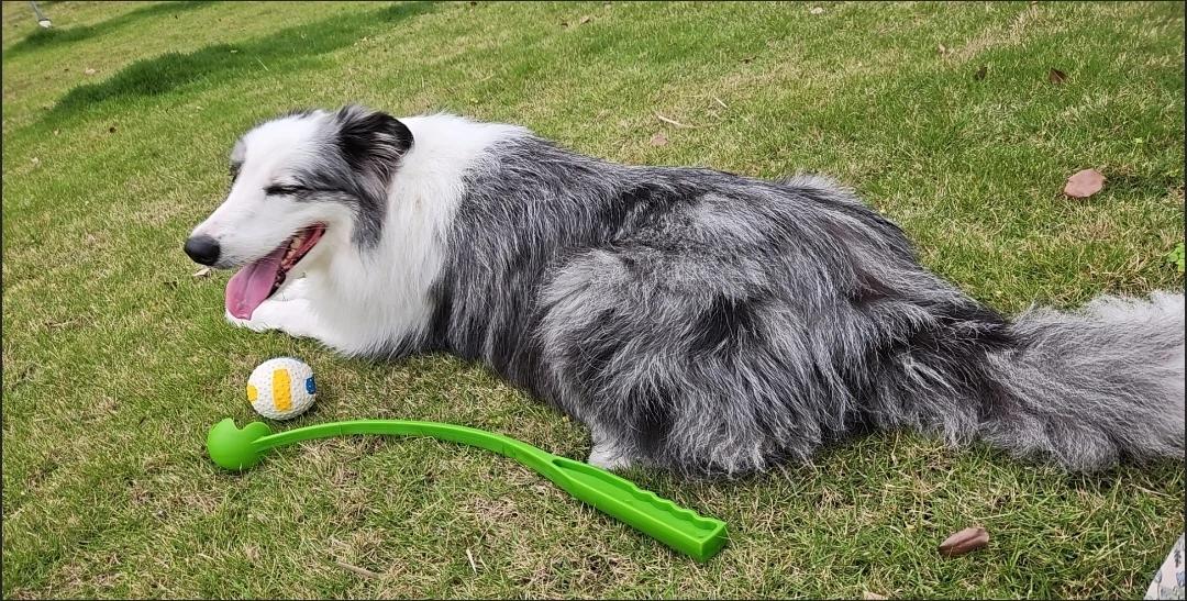 Customer review of Hands-Free Dog Fetch Launcher