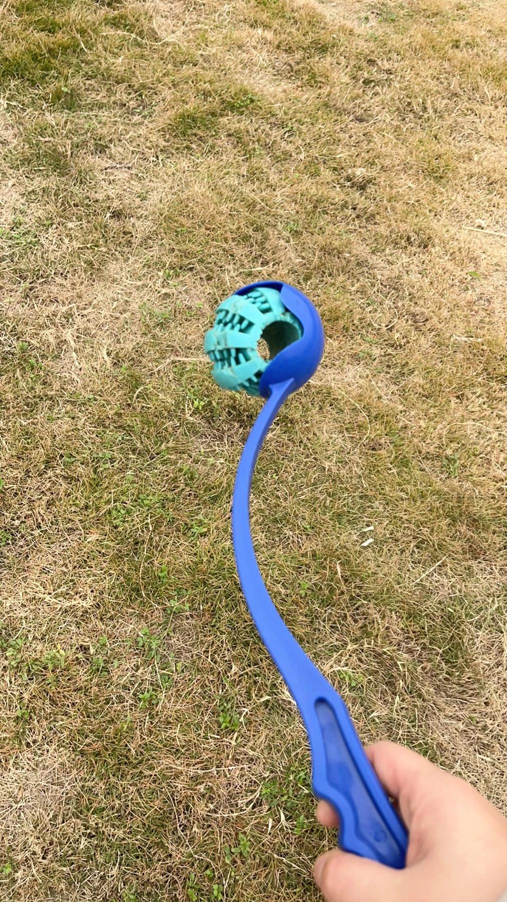 Customer review of Hands-Free Dog Fetch Launcher