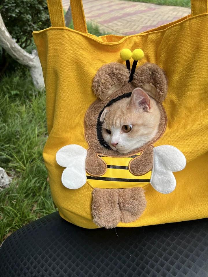 Customer review of Cute Hands-Free Pet Carrier Backpack for Cats & Small Dogs