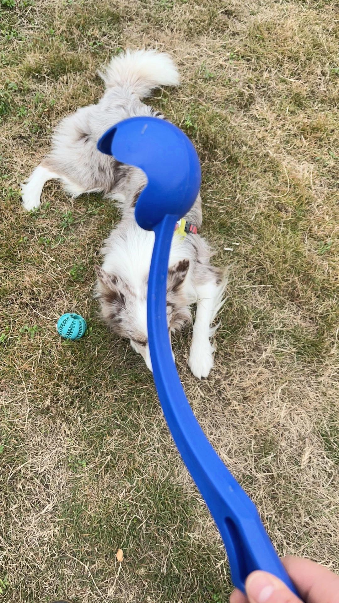 Customer review of Hands-Free Dog Fetch Launcher