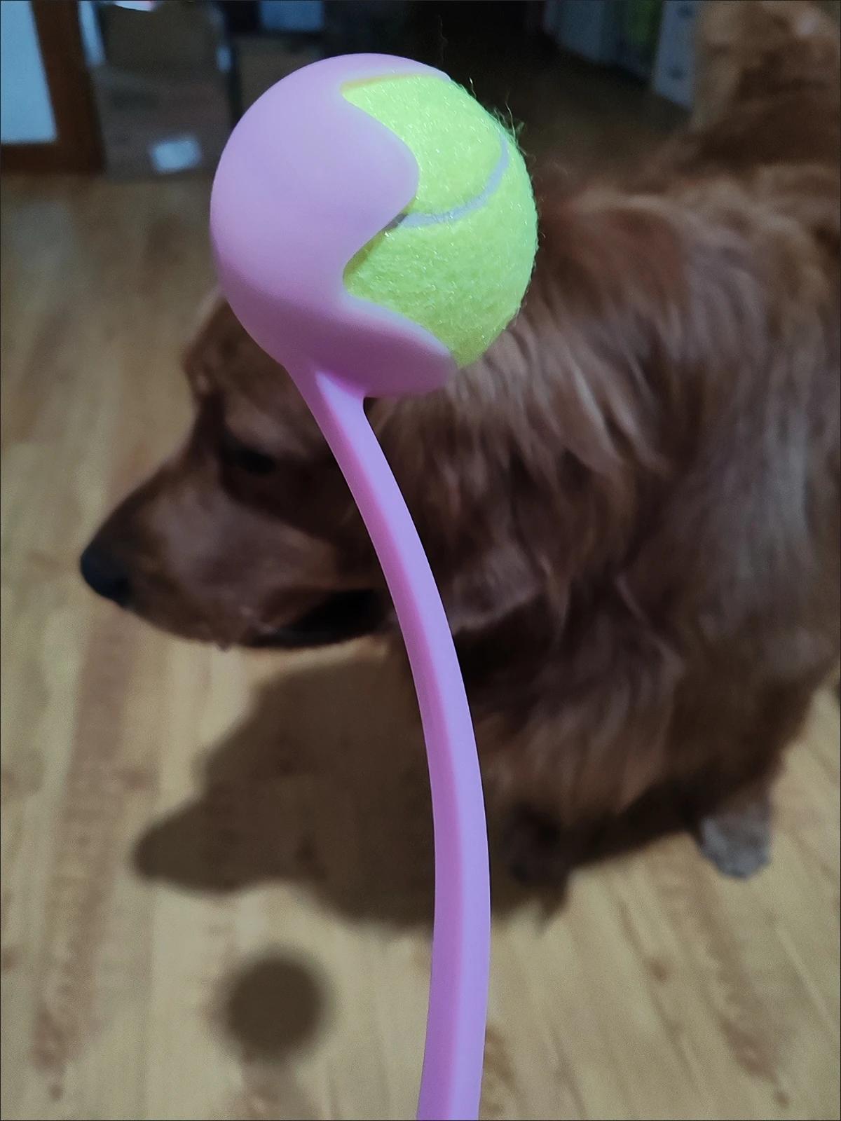 Customer review of Hands-Free Dog Fetch Launcher