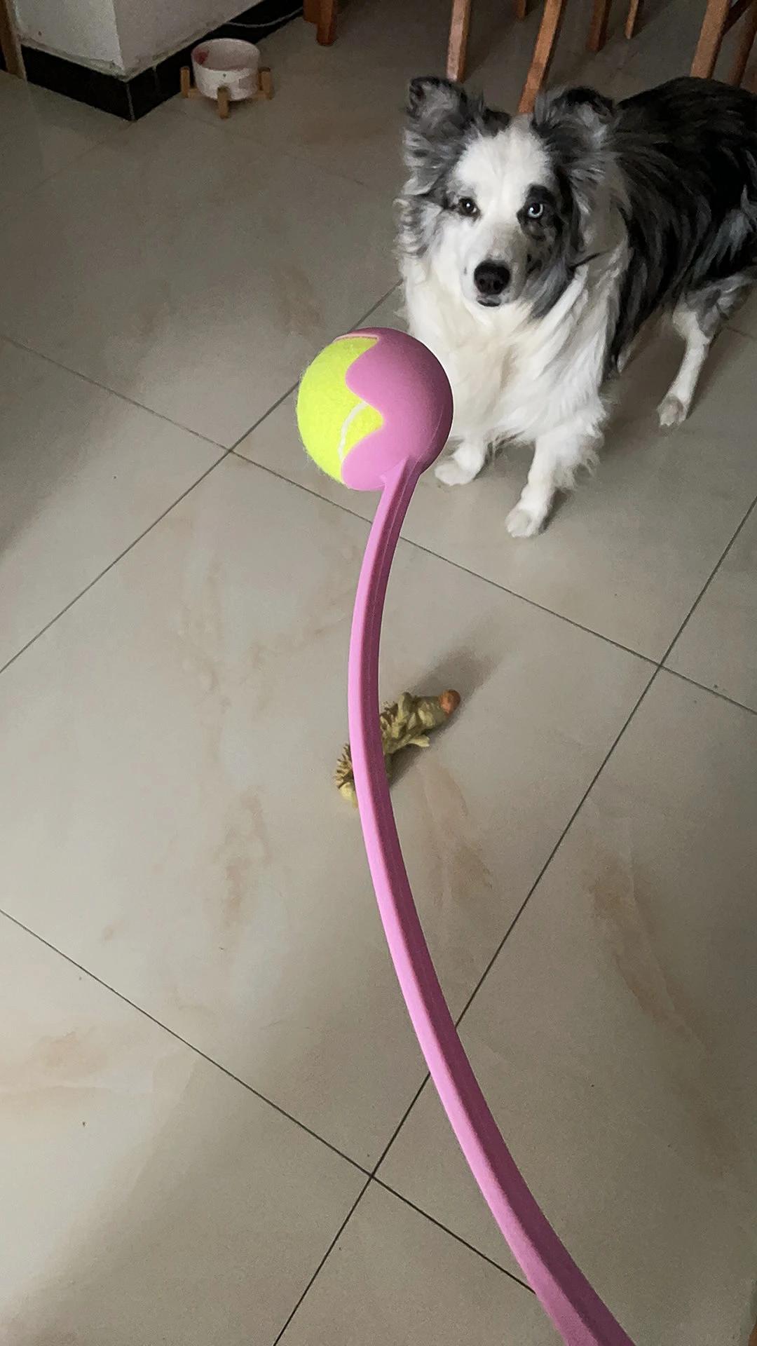 Customer photo 1 featuring Hands-Free Dog Fetch Launcher