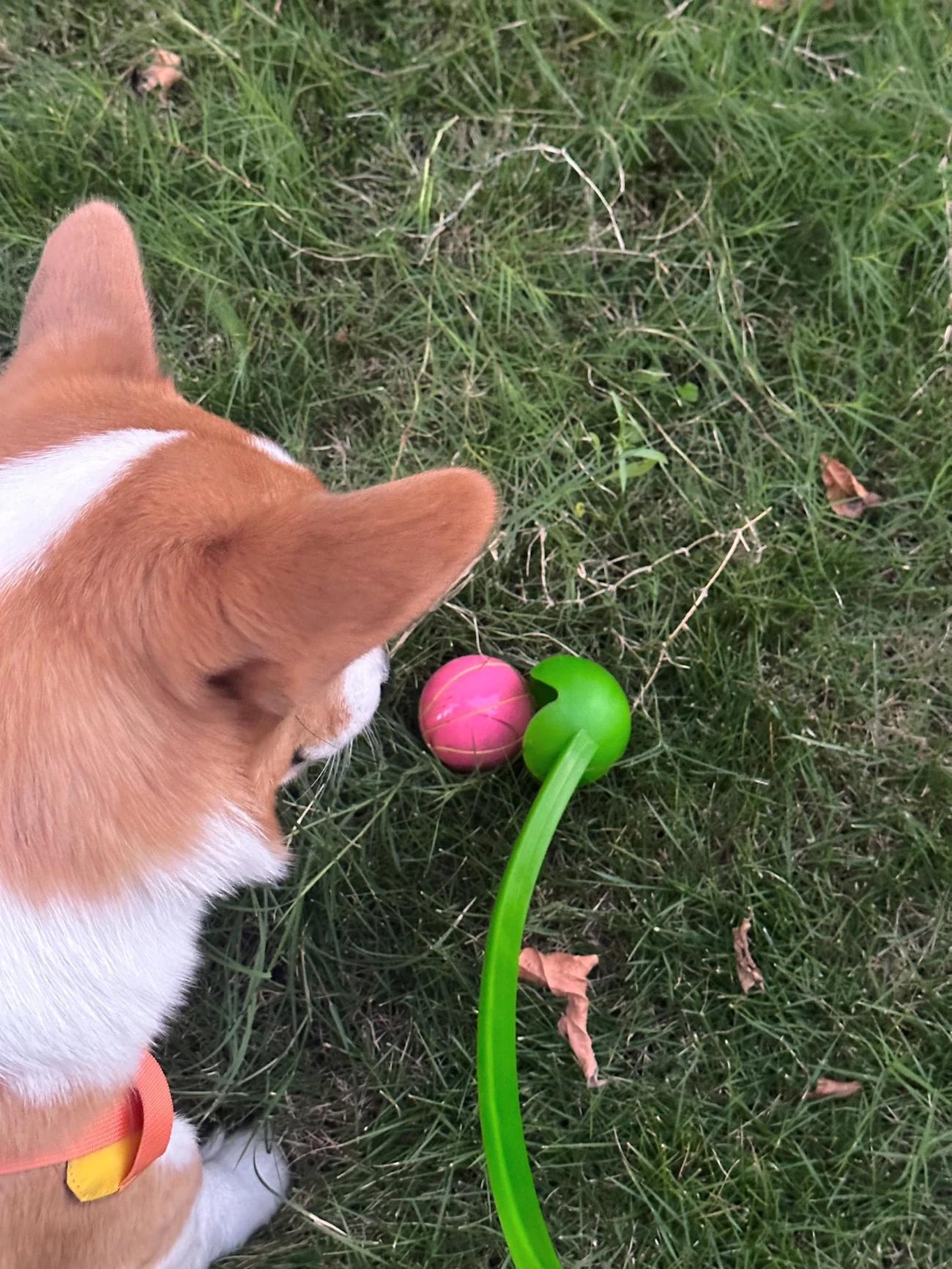Customer review of Hands-Free Dog Fetch Launcher