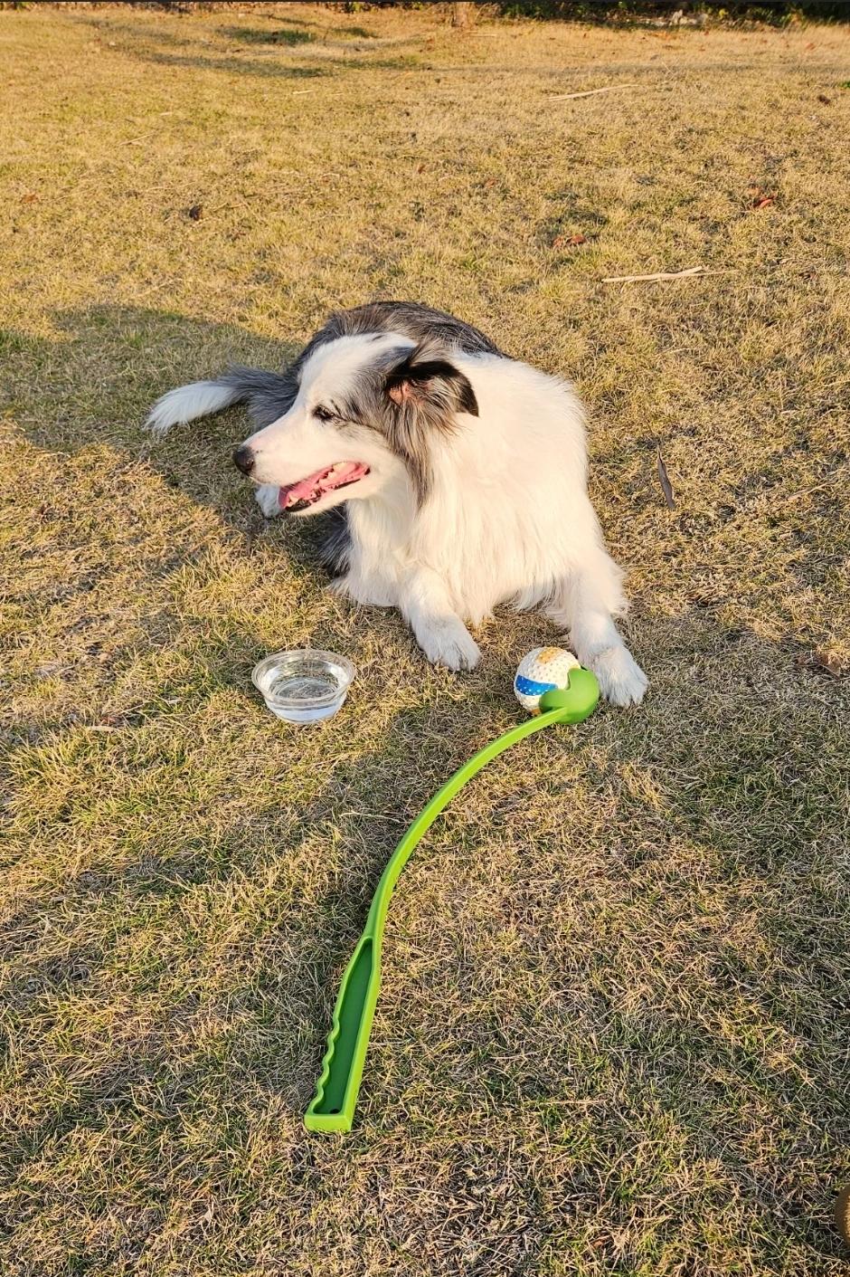 Customer photo 1 featuring Hands-Free Dog Fetch Launcher